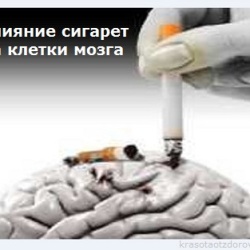 Влияние сигарет