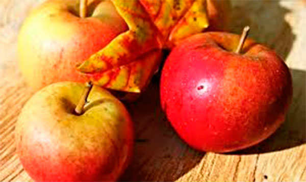 яблоки и диабет